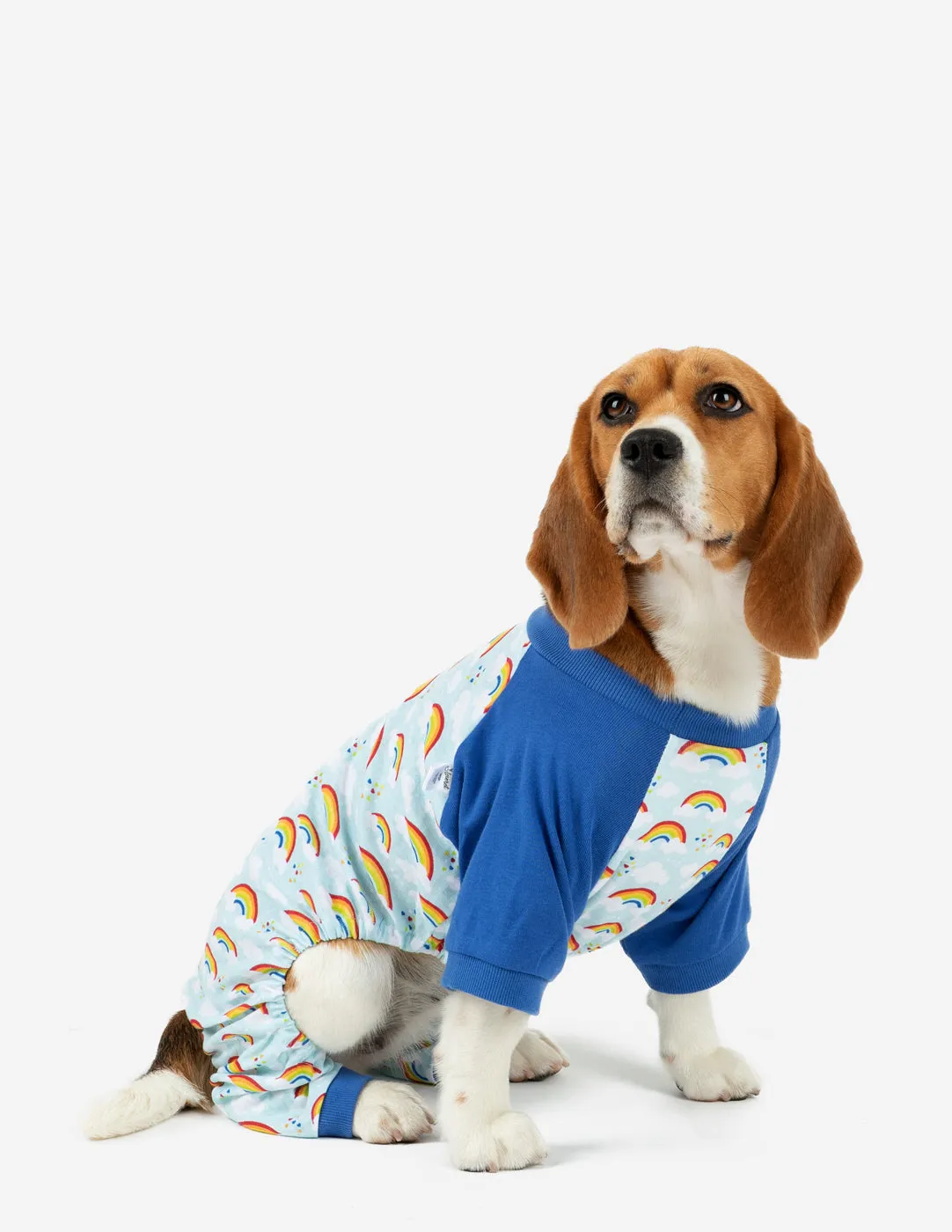 Dog Blue Rainbow Pajamas