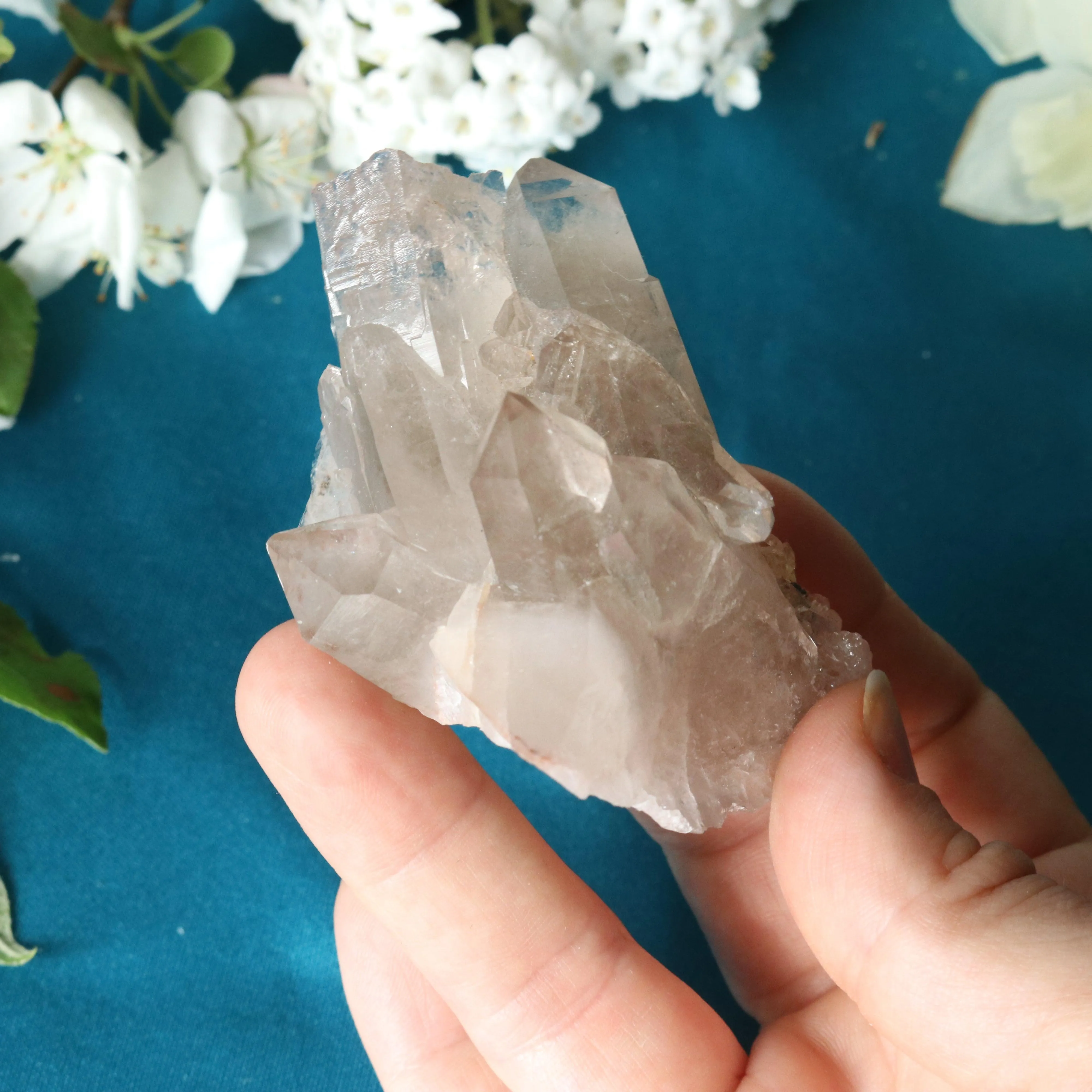 Rutilated Smoky Quartz Cluster Specimen with GORGEOUS Golden Rutile Inclusion