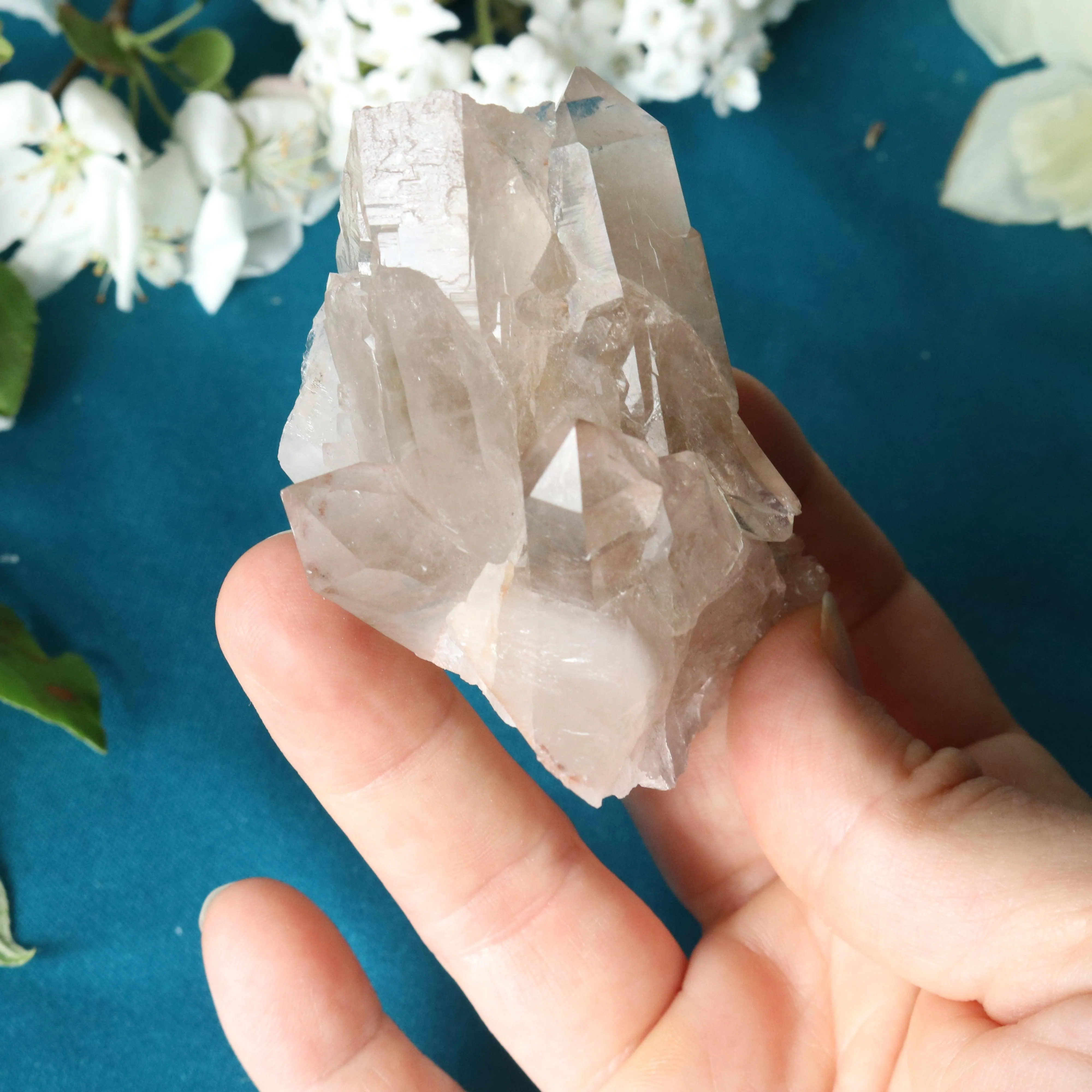 Rutilated Smoky Quartz Cluster Specimen with GORGEOUS Golden Rutile Inclusion