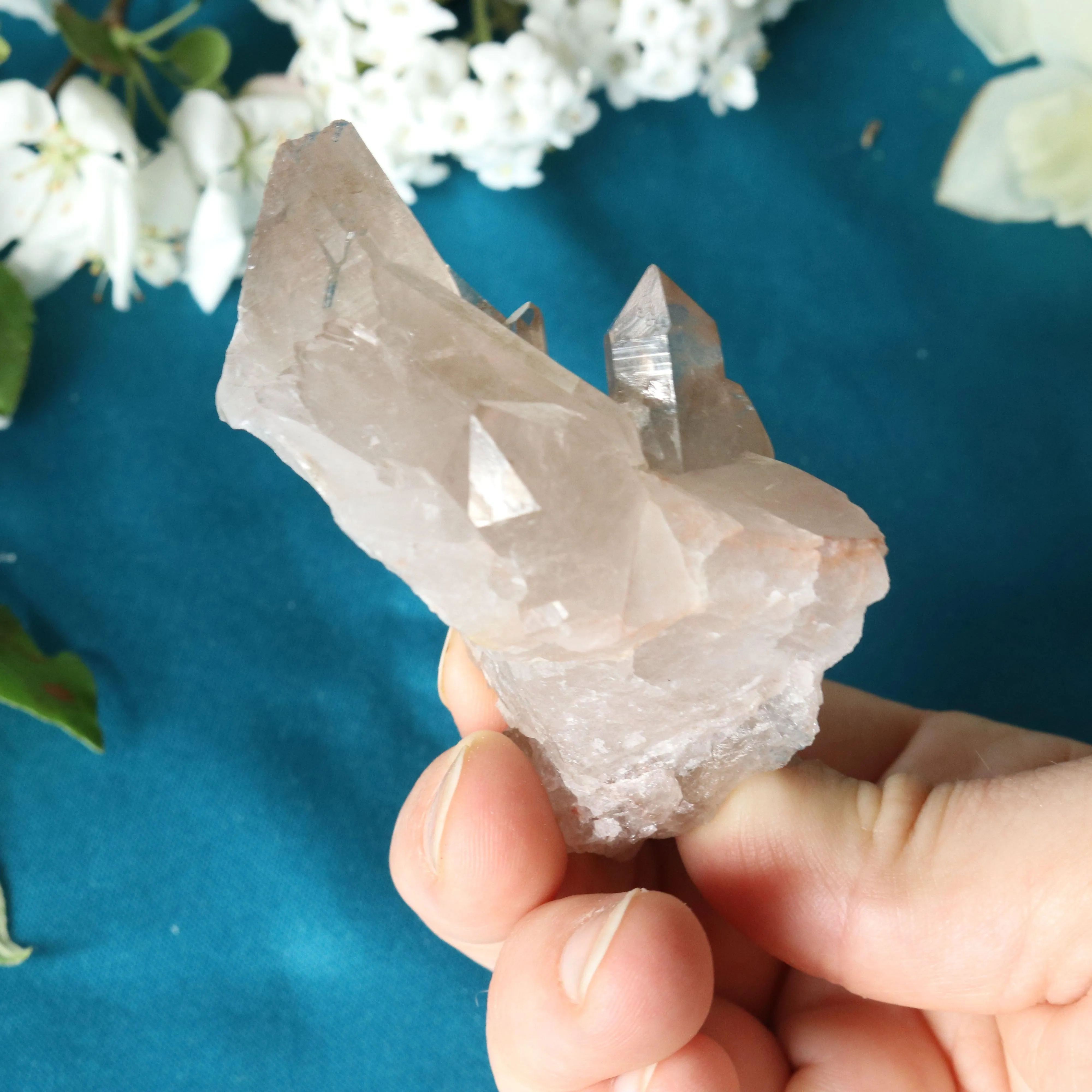 Rutilated Smoky Quartz Cluster Specimen with GORGEOUS Golden Rutile Inclusion