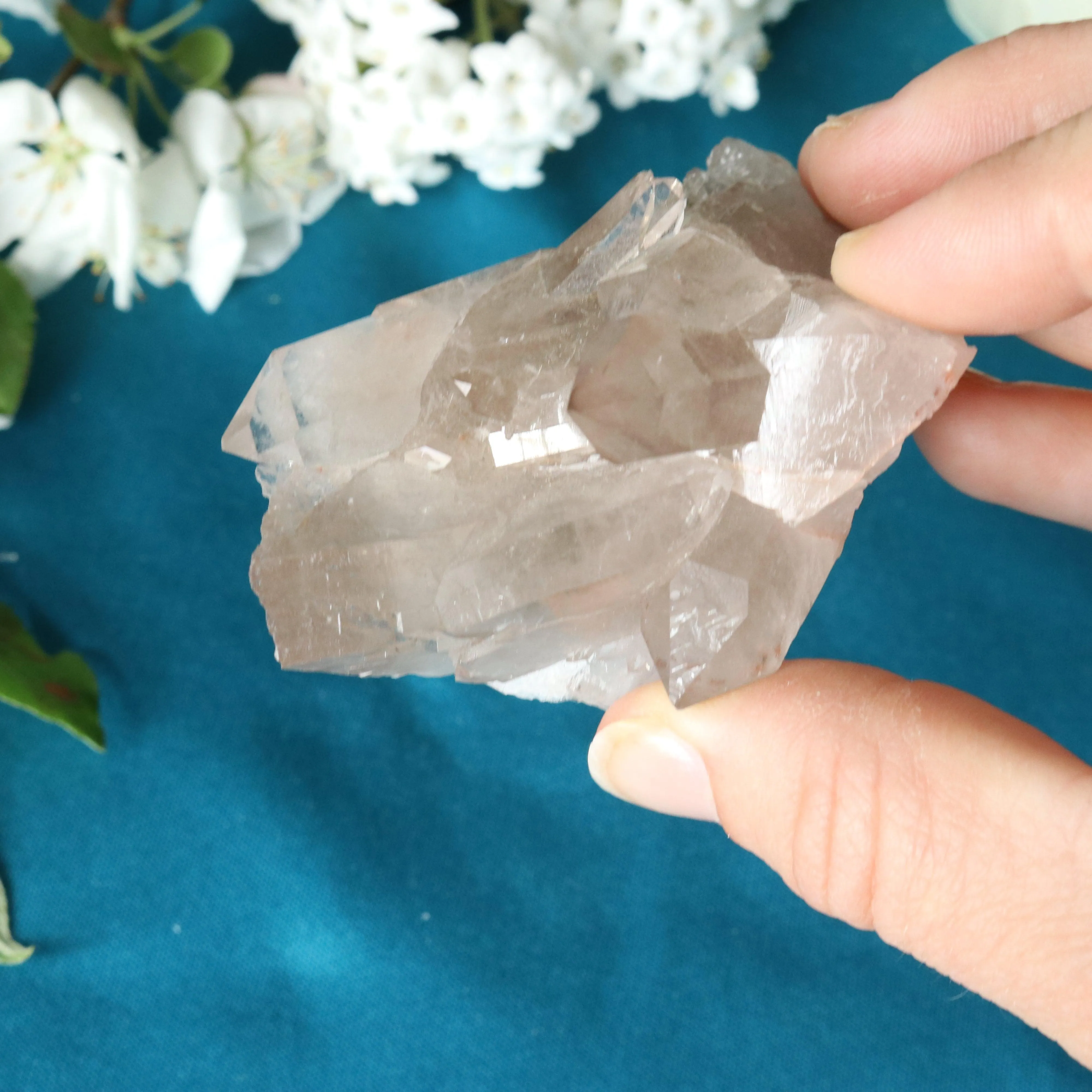 Rutilated Smoky Quartz Cluster Specimen with GORGEOUS Golden Rutile Inclusion