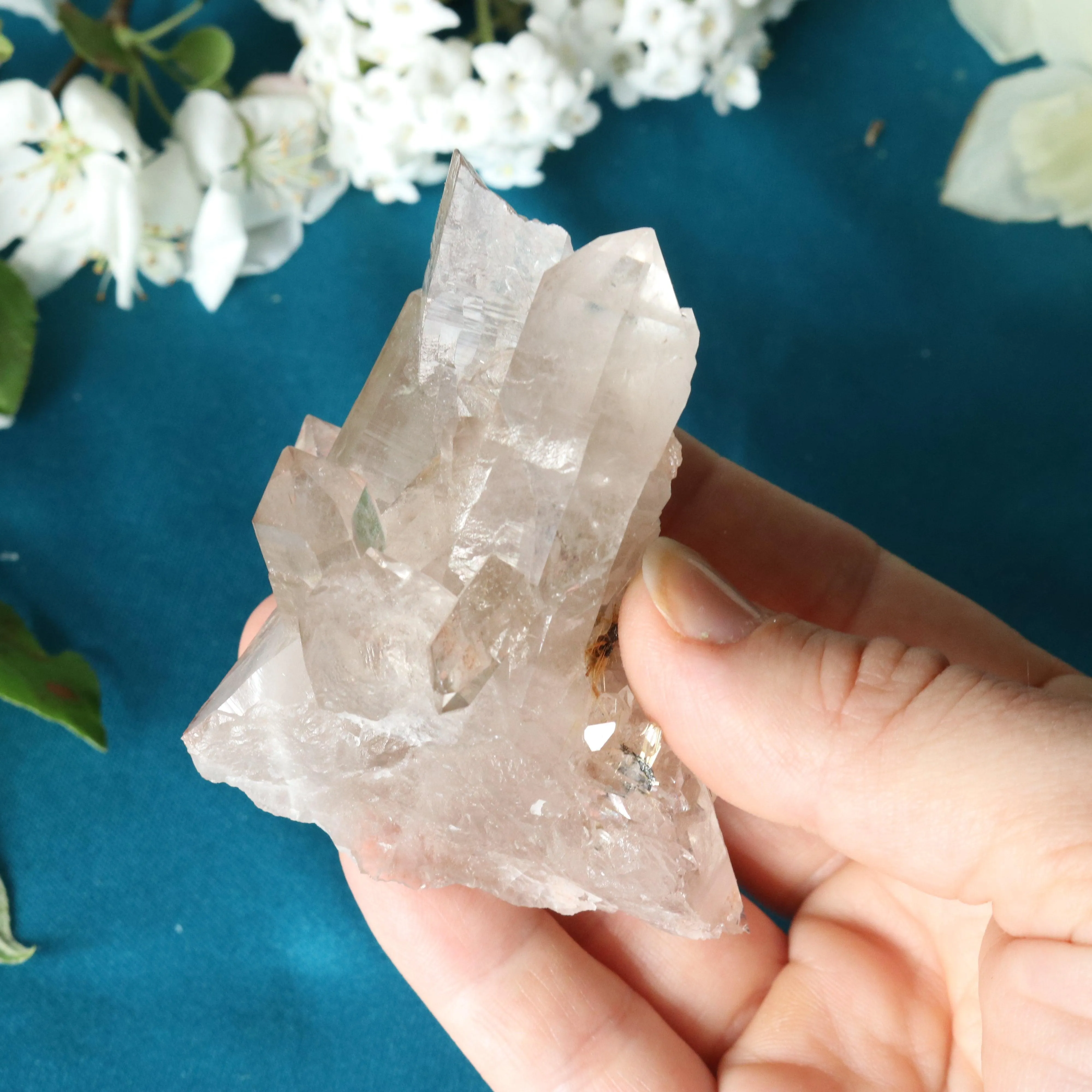 Rutilated Smoky Quartz Cluster Specimen with GORGEOUS Golden Rutile Inclusion