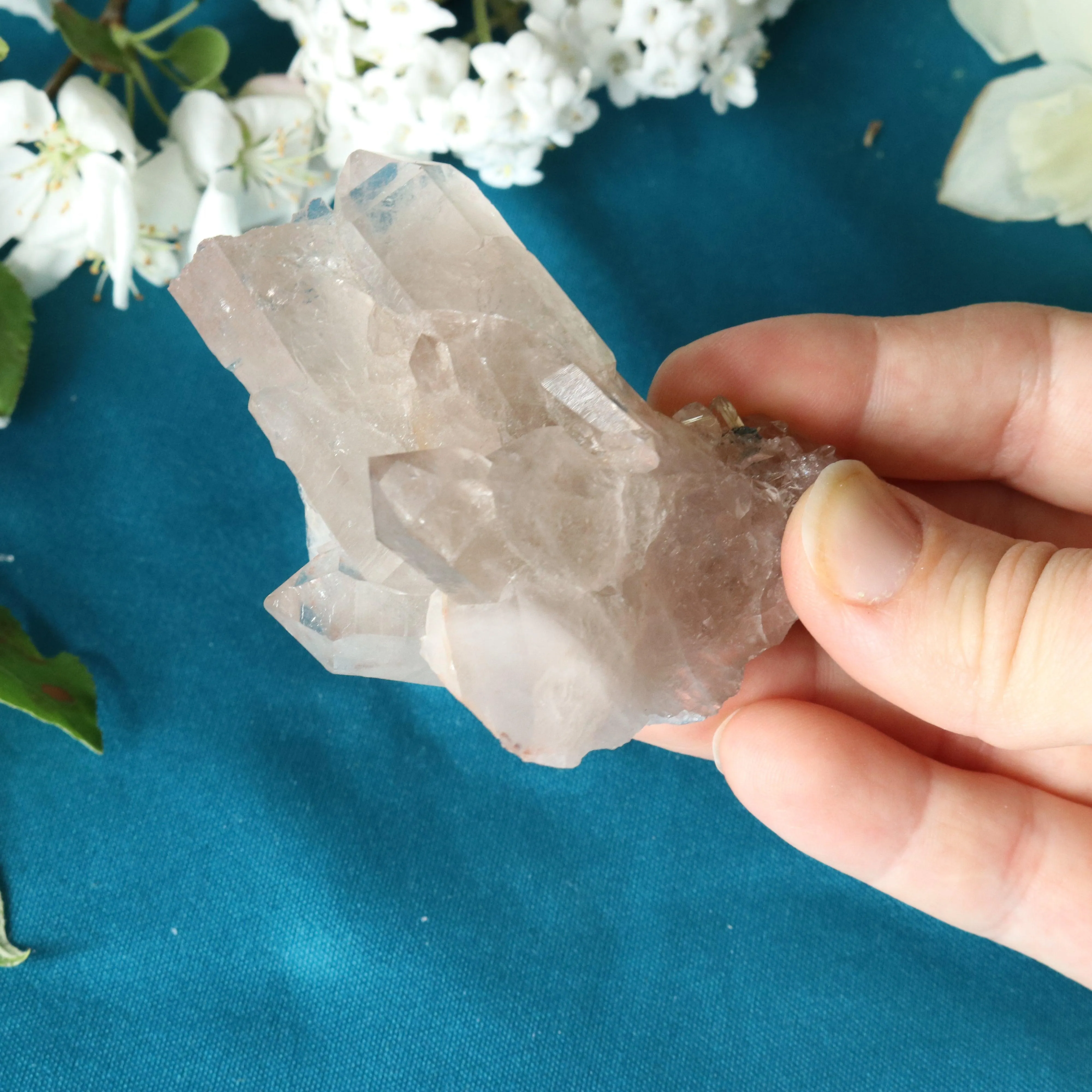 Rutilated Smoky Quartz Cluster Specimen with GORGEOUS Golden Rutile Inclusion